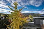 Einfamilienhaus Bad Homburg vor der Höhe Gonzenheim - 5 Zimmer, 227 m&sup2;, 3.300&euro; | Angebot:23393660