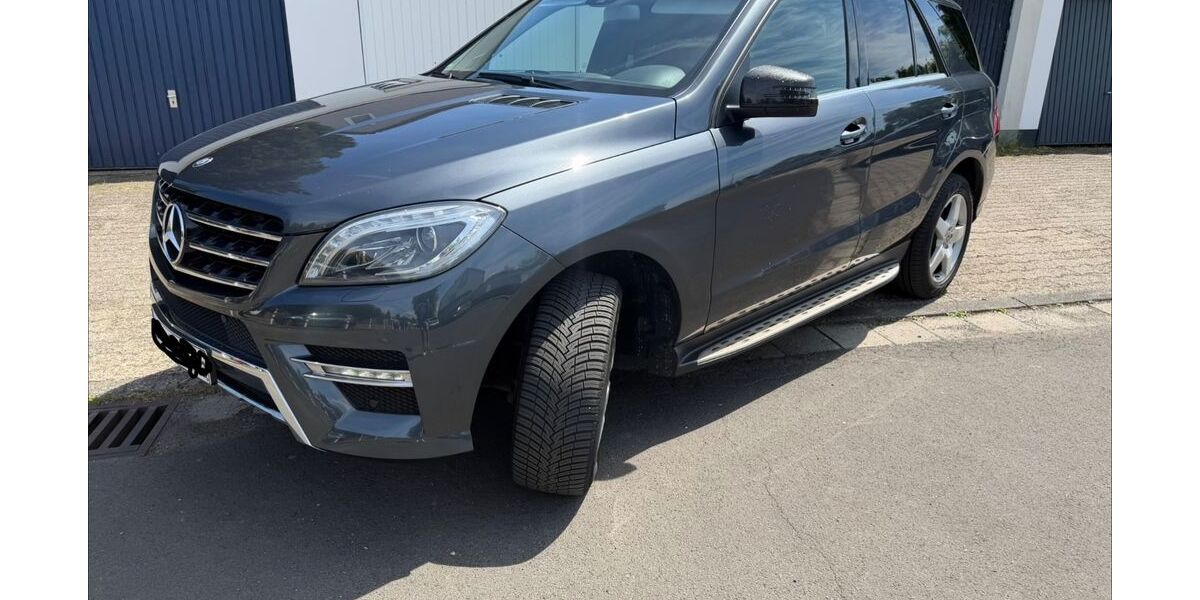 Mercedes-Benz ML 350 172.870 km 16.500 &euro; Sulzbach 65843