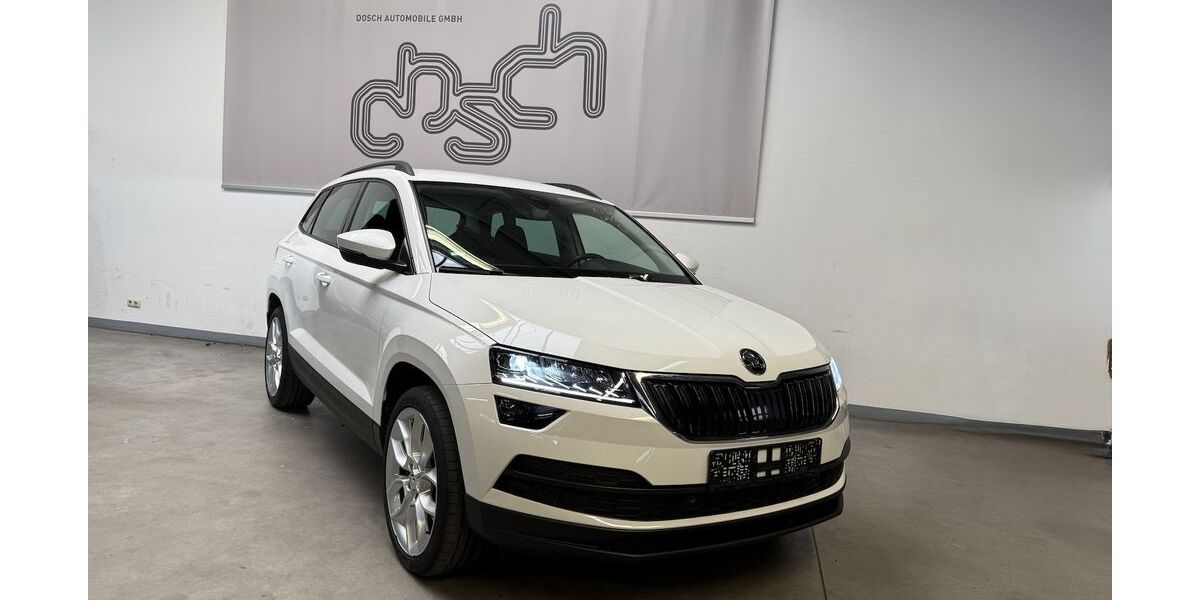 Skoda Karoq 174.079 km 15.990 &euro; Maintal bei Frankfurt am Main 63477