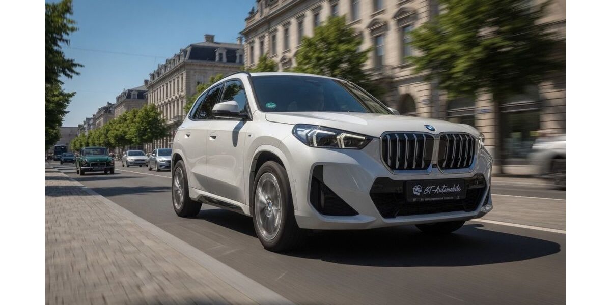 BMW X1 32.000 km 39.400 &euro; Bischofsheim 65474