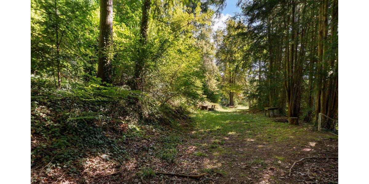 Reihenmittelhaus Hofheim am Taunus Lorsbach - 6 Zimmer, 260 m&sup2;, 899.000&euro; | Angebot:23950743