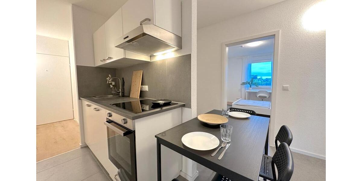 Etagenwohnung Frankfurt am Main Sossenheim - 1 Zimmer, 30 m&sup2;, 520&euro; | Angebot:26423732