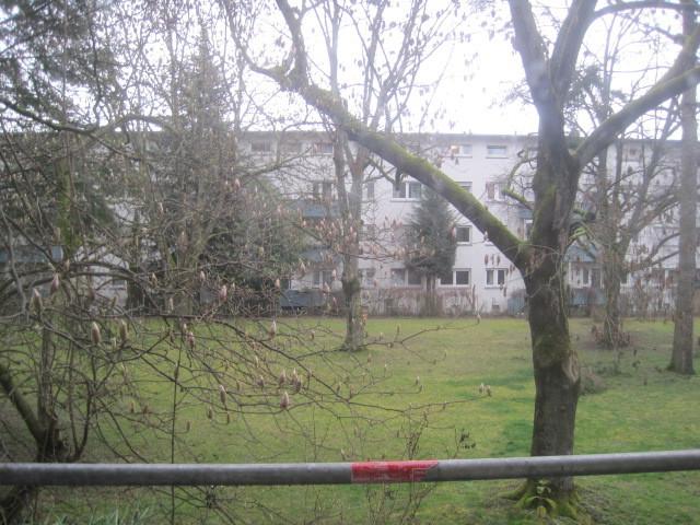 Erdgeschoßwohnung Frankfurt am Main Mitte-Nord - 3 Zimmer, 69 m&sup2;, 1.113&euro; | Angebot:26532059