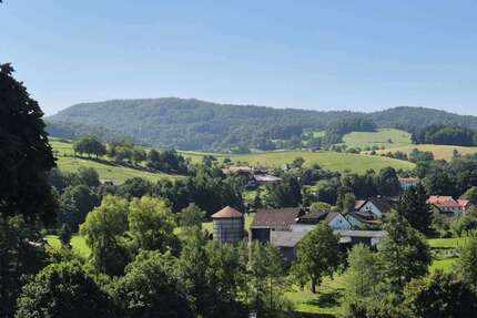 Haus zum Kaufen in Darmstadt 930.000 € 505.2 m² 16 zimmer