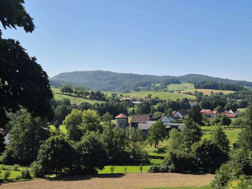 Haus zum Kaufen in Darmstadt 930.000 € 505.2 m² 16 zimmer