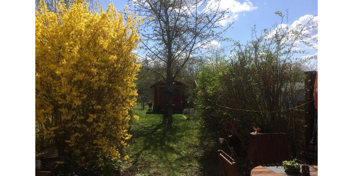 Reihenhaus Frankfurt am Main Nord-Ost - 4 Zimmer, 125 m&sup2;, 1.100.000&euro; | Angebot:24433269