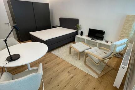 Möblierte 1-Zi Wohnung als Kapitalanlage mit 5,2% Mietrendite 1 zimmer