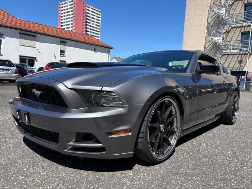 Mustang