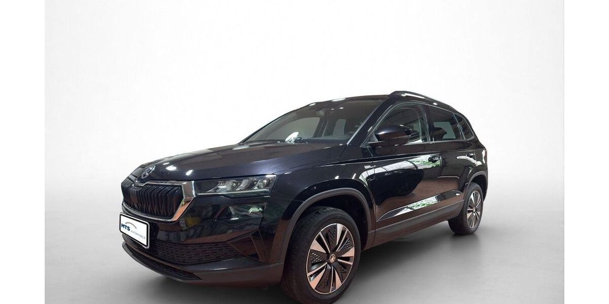 Skoda Karoq 91.904 km 22.650 &euro; Friedberg 61169