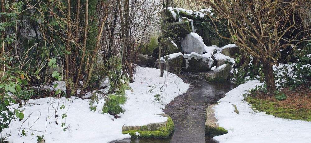 Bungalow Münster - 3 Zimmer, 133 m&sup2;, 795.000&euro; | Angebot:25668200