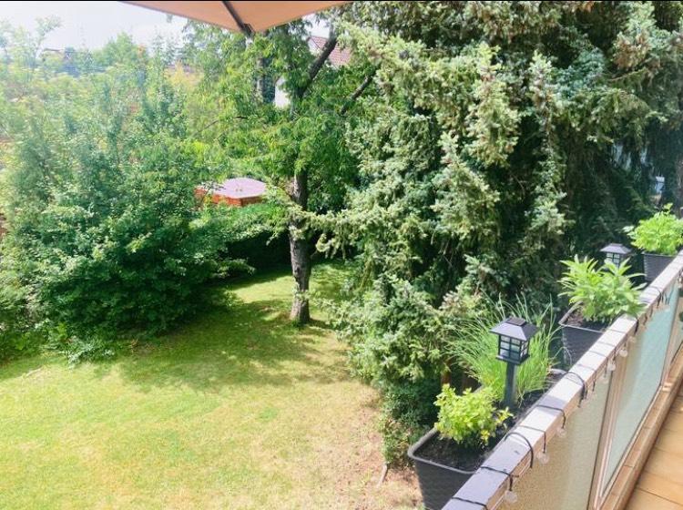 Kurzzeitmiete Frankfurt-Eschersheim 1-Zimmer-Wohnung 1 zimmer