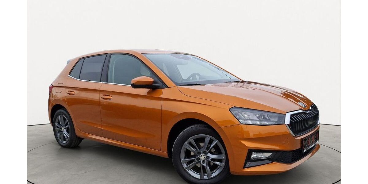 Skoda Fabia 48.359 km 15.150 &euro; Friedberg 61169