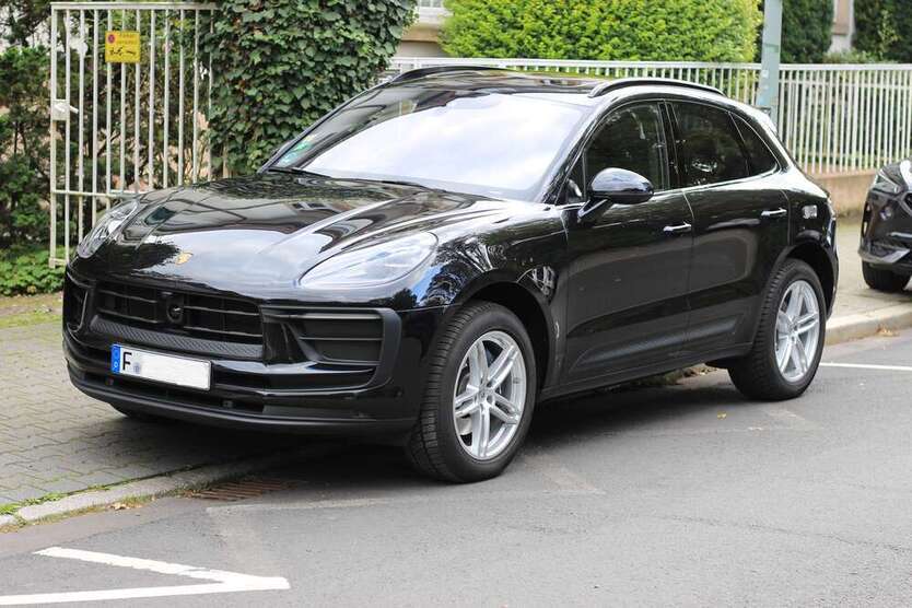 Macan