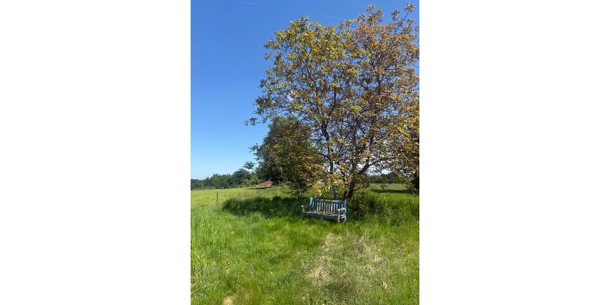 Einfamilienhaus Schmitten im Taunus - 7 Zimmer, 180 m&sup2;, 550.000&euro; | Angebot:26869692