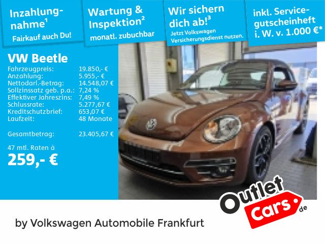 Beetle