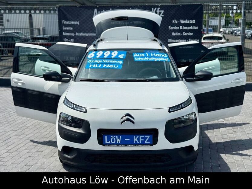 C4 Cactus