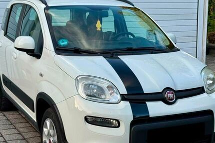Fiat Panda 159.164 km 4.550 &euro; Kalbach 60437