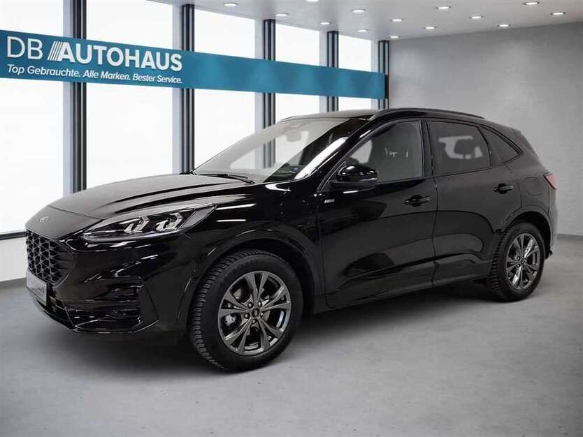 Kuga