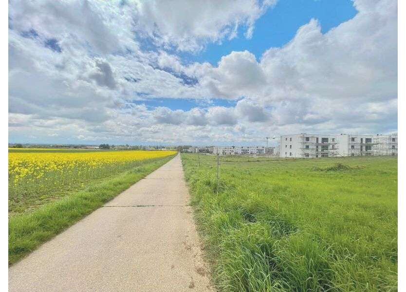 Wohnung zum Mieten in Wiesbaden 1.770 € 93 m²