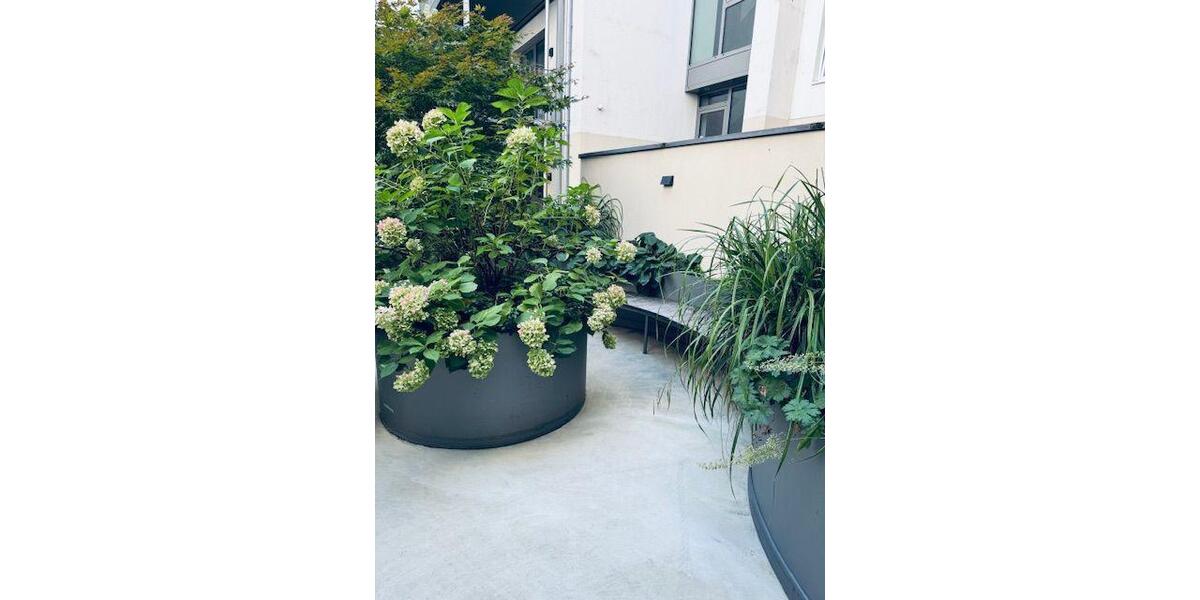 Etagenwohnung Frankfurt am Main Innenstadt 1 - 2 Zimmer, 66 m&sup2;, 1.420&euro; | Angebot:25626322