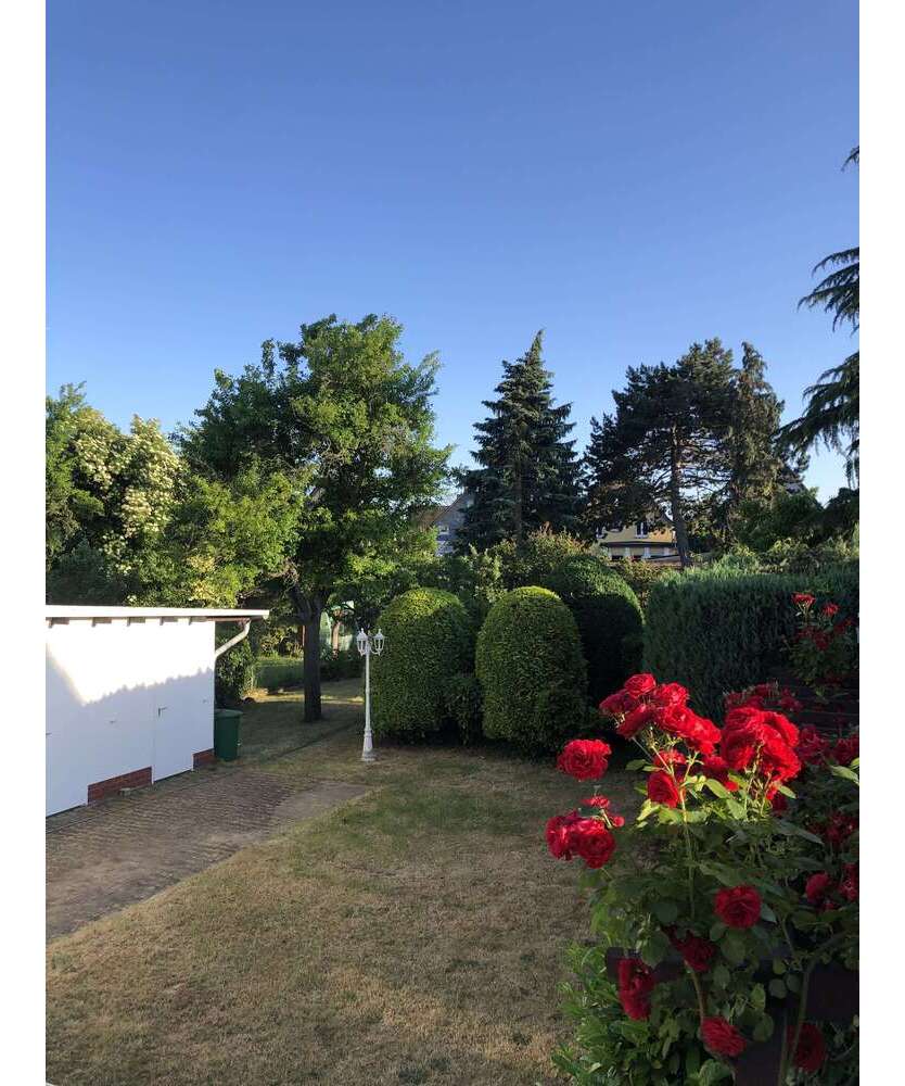 Haus zum Kaufen in Rüsselsheim 1.205.000 € 348 m²