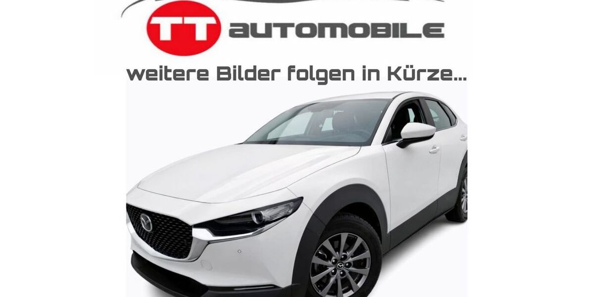 Mazda CX-30 139.500 km 17.499 &euro; Rüsselsheim 65428