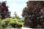 Terrassenwohnung Dreieich Dreieichenhain - 2 Zimmer, 118 m&sup2;, 425.000&euro; | Angebot:25782945