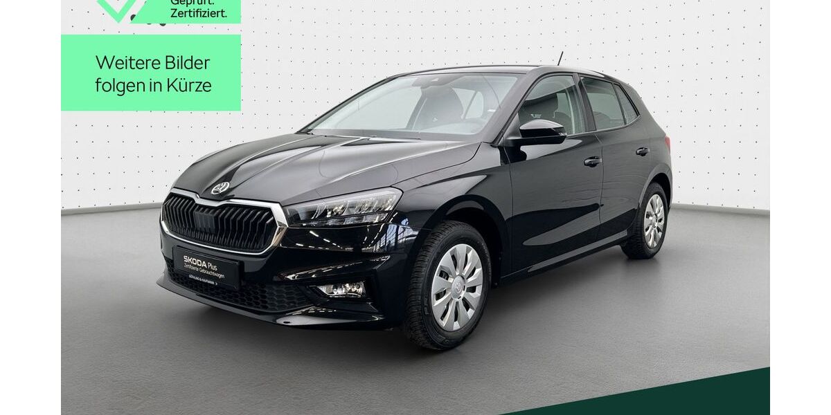 Skoda Fabia 22.383 km 16.890 &euro; Hofheim im Taunus 65719