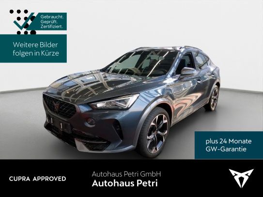 Cupra Formentor 55.061 km 26.980 &euro; Hofheim-Diedenbergen 65719