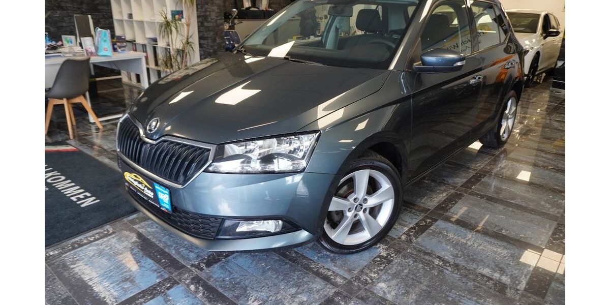 Skoda Fabia 131.601 km 7.990 &euro; Mühlheim am Main nähe Frankfurt 63165