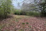 Kelkheim: Hier erfüllen Sie Ihren Traum! Idyllisches Grundstück im Wochenendgebiet - Grundstück Kelkheim | Angebot:26134206