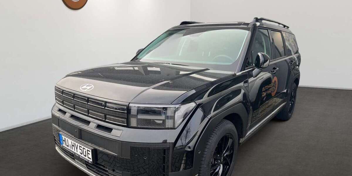 Hyundai SANTA FE 3.216 km 54.990 &euro; Hanau 63450