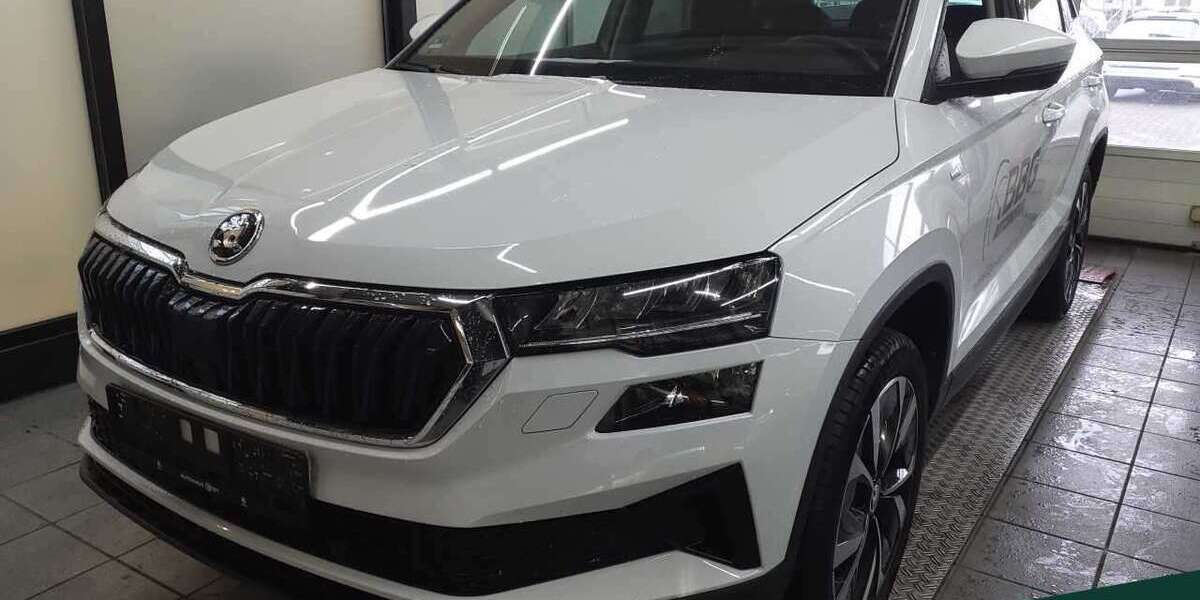 Skoda Karoq 73.550 km 24.488 &euro; Mühlheim a. Main 63165