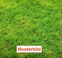 Grundstück zu verkaufen in Niddatal 325.000 € 544 m²