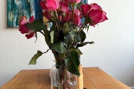 WG-Zimmer in 135qm Wohnung - Bestlage Bad Nauheim 3 zimmer