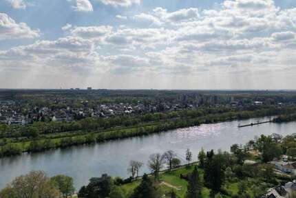 Wohnung Frankfurt am Main West - 2 Zimmer, 53 m&sup2;, 234.000&euro; | Angebot:26805690