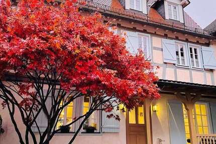 Haus zum Kaufen in Kronberg im Taunus 1.590.000 € 500 m² 5 zimmer