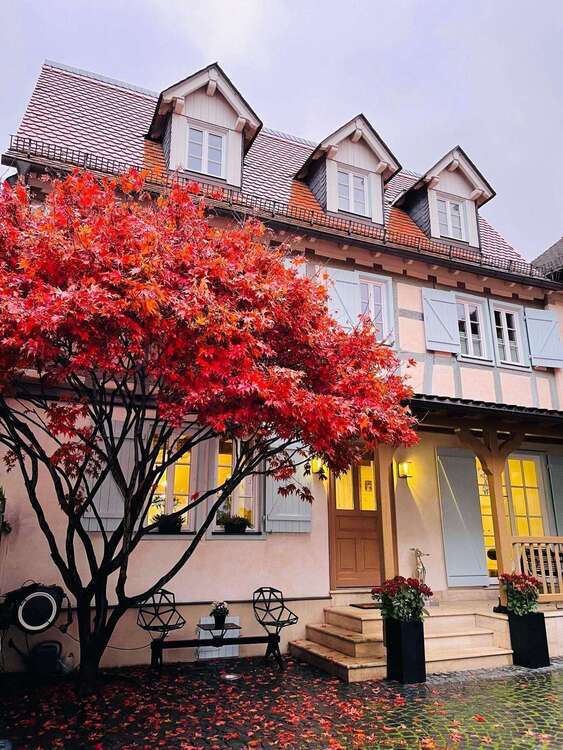 Haus zum Kaufen in Kronberg im Taunus 1.590.000 € 500 m² 5 zimmer