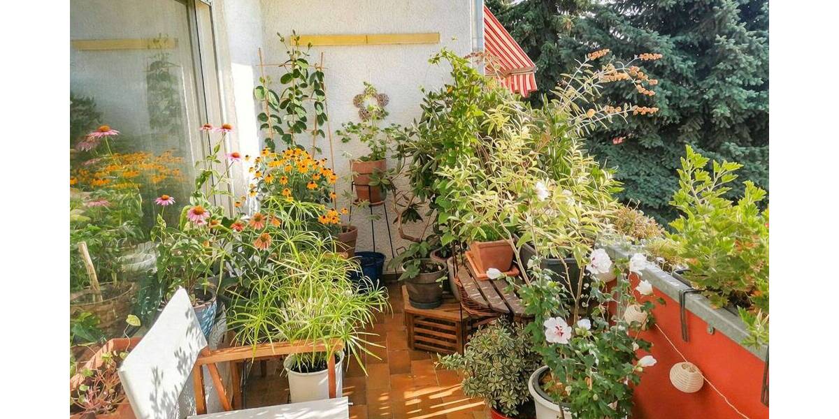 Einfamilienhaus Weiterstadt - 3 Zimmer, 295.000&euro; | Angebot:26892975