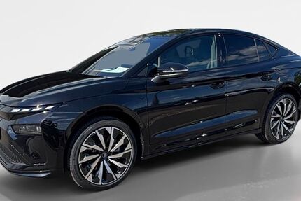 Skoda Enyaq 10.000 km 48.485 &euro; Offenbach am Main 63075