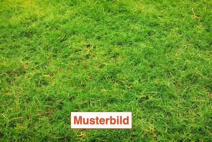 Grundstück zu verkaufen in Bad Nauheim 380.000 € 709 m²