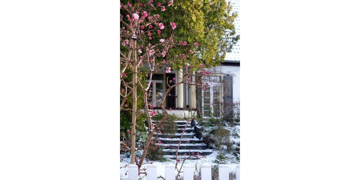 Einfamilienhaus Darmstadt Bessungen - 7 Zimmer, 160 m&sup2;, 1.488.000&euro; | Angebot:25676228