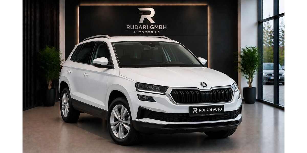 Skoda Karoq 154.136 km 19.750 &euro; Frankfurt am Main 60386