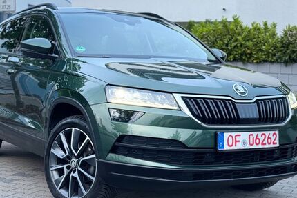Skoda Karoq 133.458 km 16.970 &euro; Mainhausen 63533