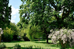 **RESERVIERT** Zwischen Stadtleben und Parkidylle – attraktive 2-Zimmer-Wohnung im beliebten Woogsviertel - Dachgeschoßwohnung Darmstadt Darmstadt/Viertel | Angebot:26776972