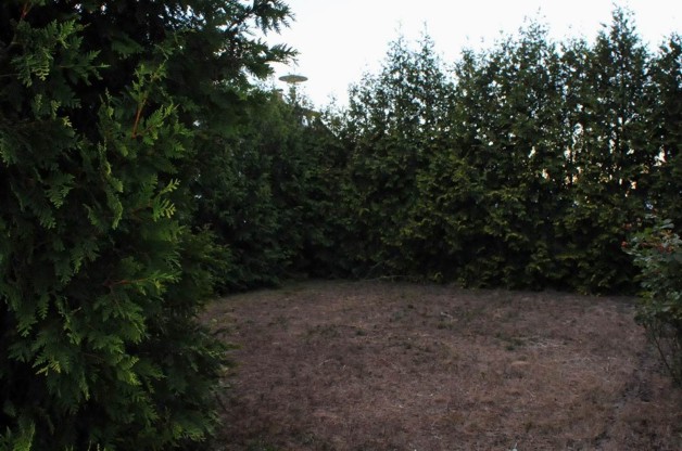 EFH mit großem Grundstück bei Darmstadt - Einfamilienhaus Darmstadt Arheilgen | Angebot:19800054