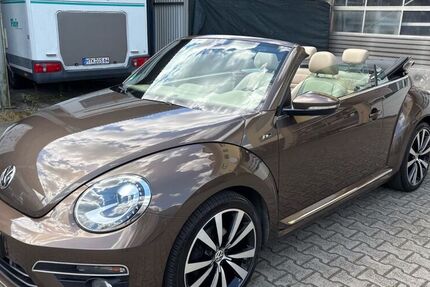 VW Beetle
