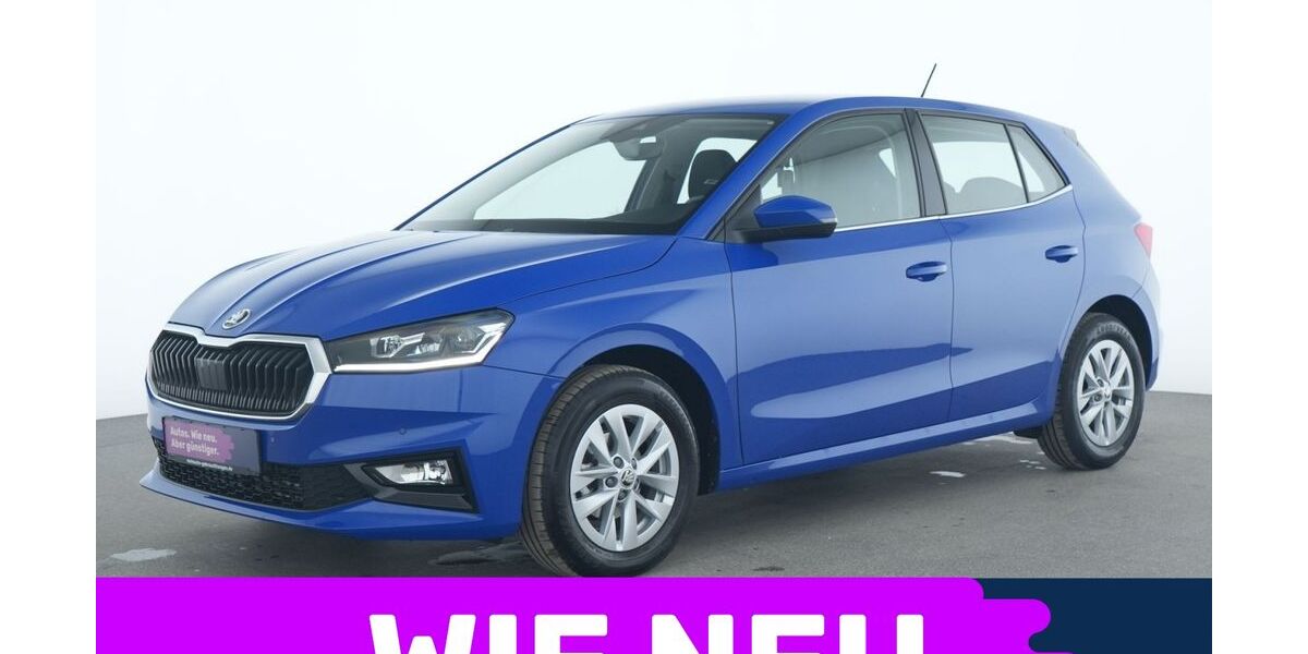 Skoda Fabia 16.880 km 16.938 &euro; Dietzenbach bei Frankfurt 63128