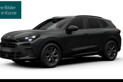 Cupra Terramar 19.838 km 36.990 &euro; Königstein 61462