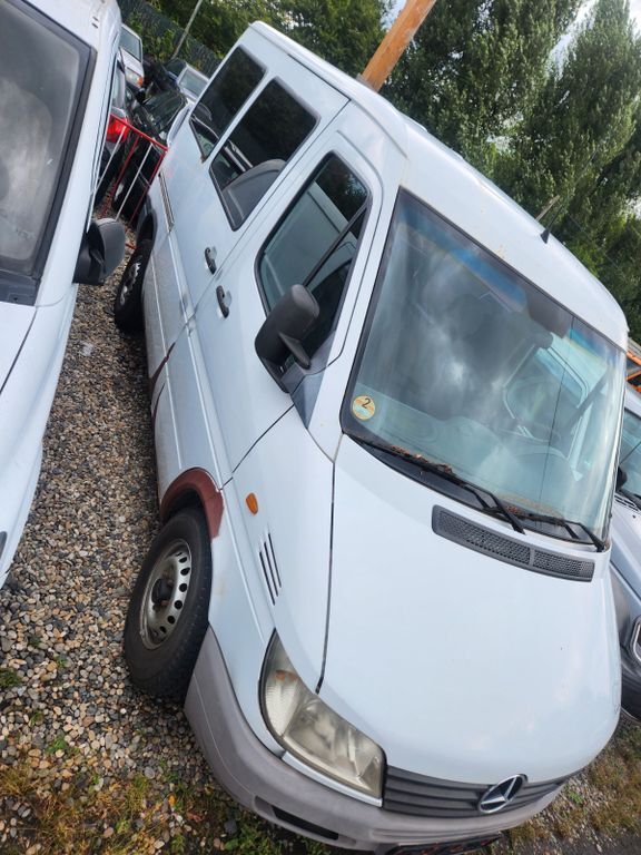Sprinter